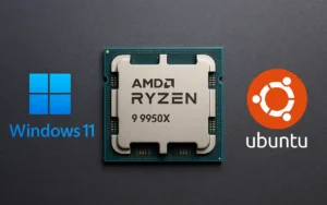Ryzen Windows 11 Linux